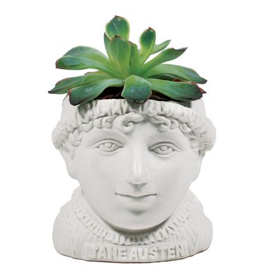 PLANTER - JANE AUSTEN