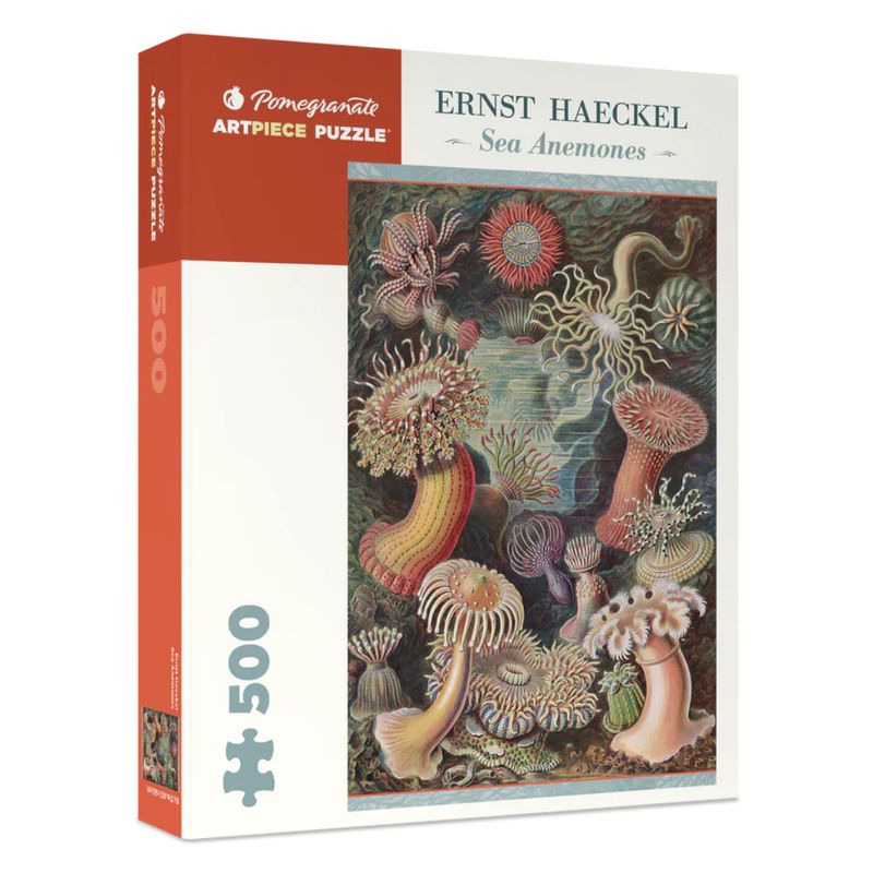 PM500 HAECKEL - SEA ANEMONES