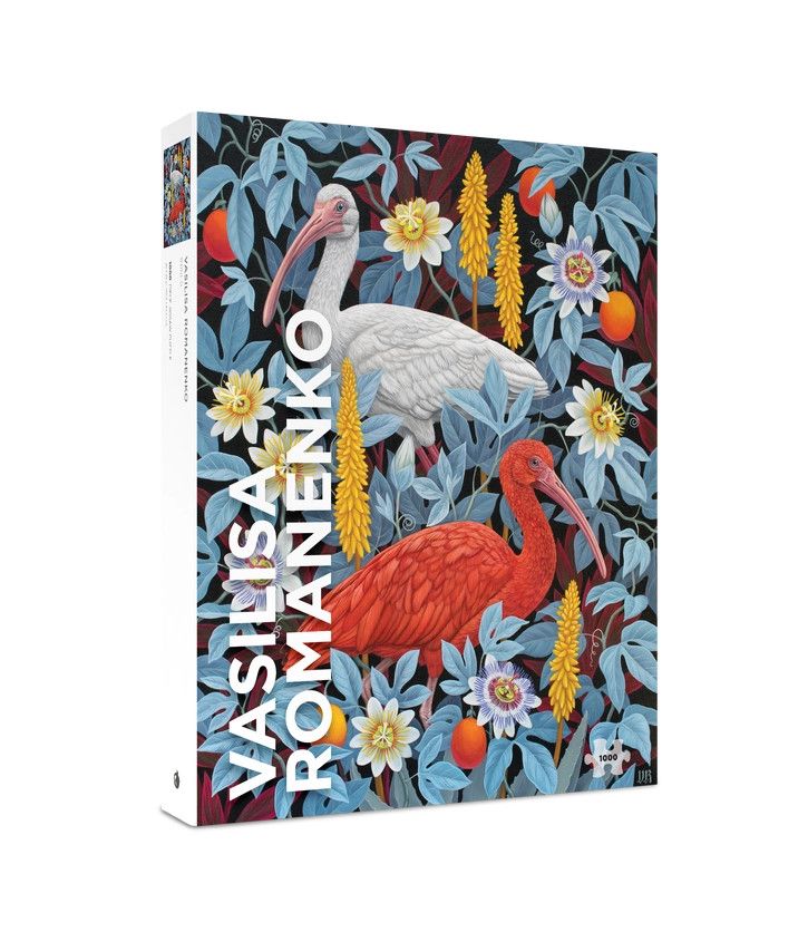 PM1000 ROMANENKO - IBISES