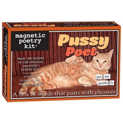 MAGNETIC POETRY PUSSY POET