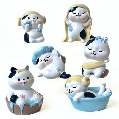BLIND BOX CAT HOT SPRINGS