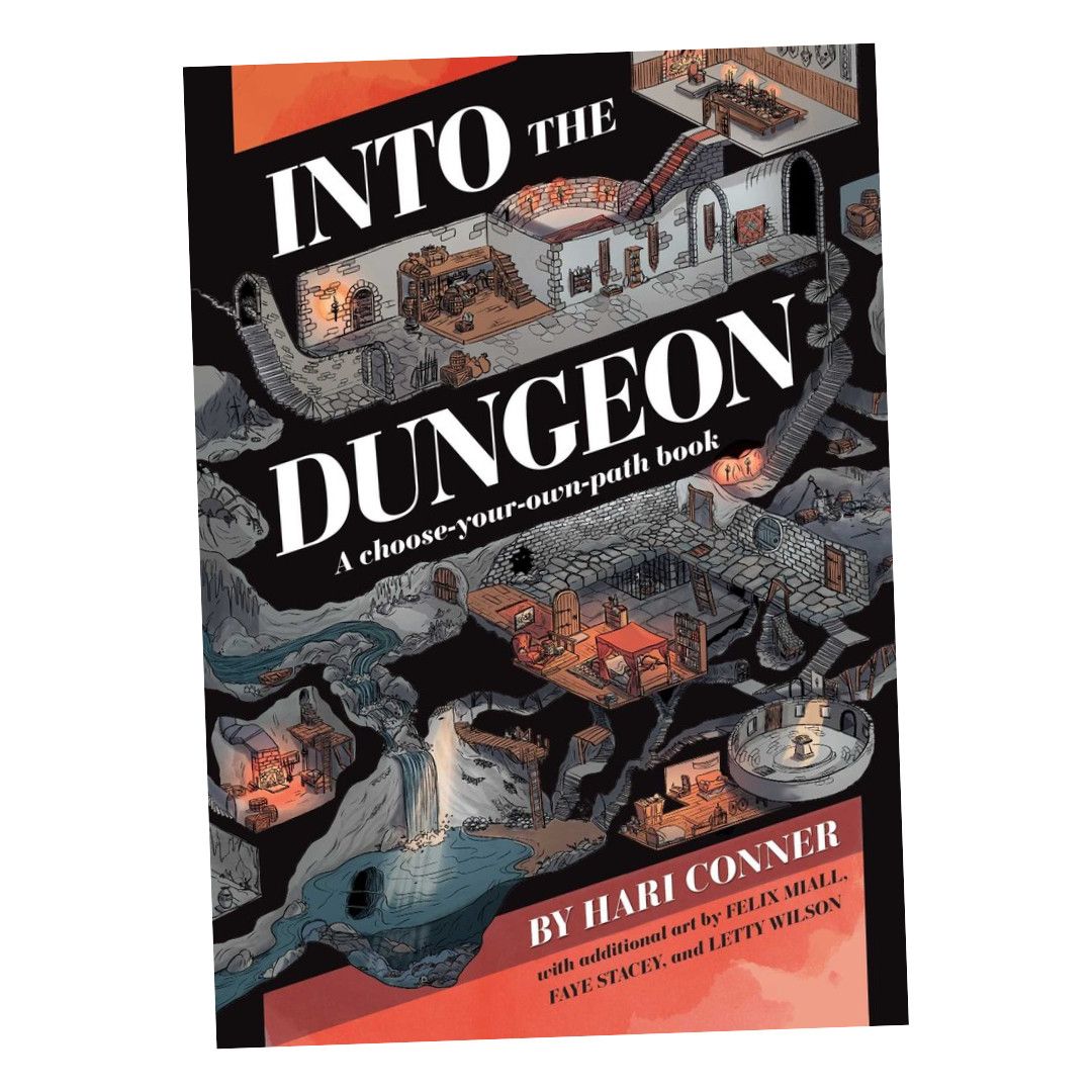 INTO THE DUNGEON: A CHOOSE-YOUR-OWN-PATH BOOK