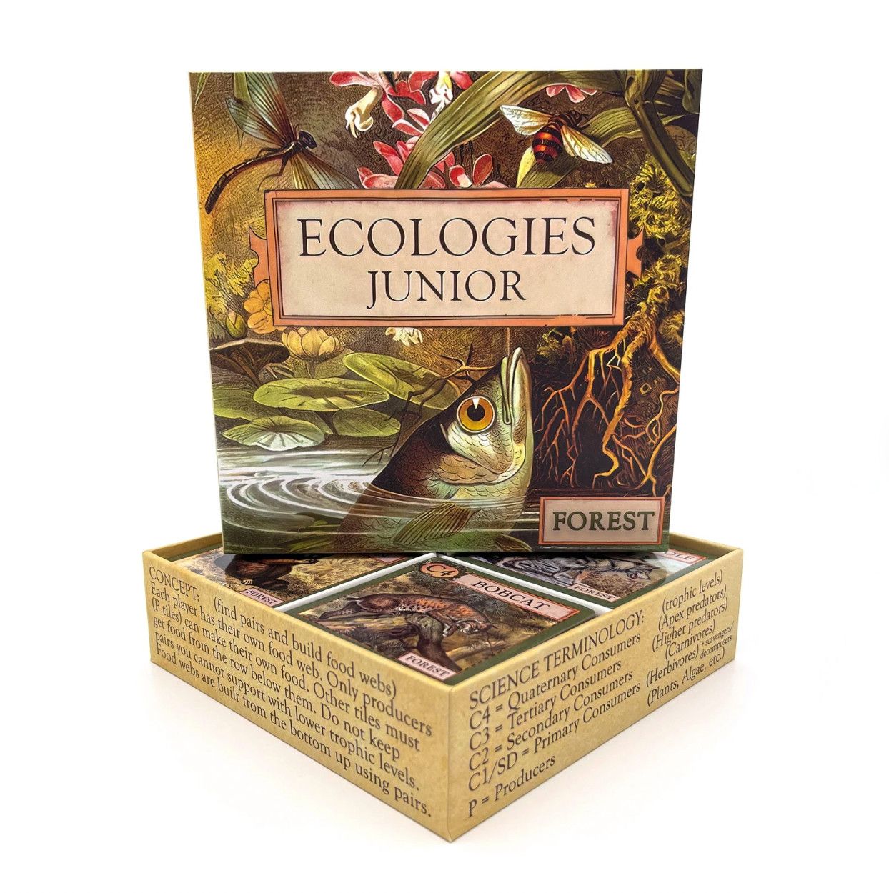 ECOLOGIES JUNIOR: FOREST