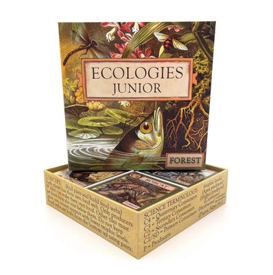 ECOLOGIES JUNIOR: FOREST