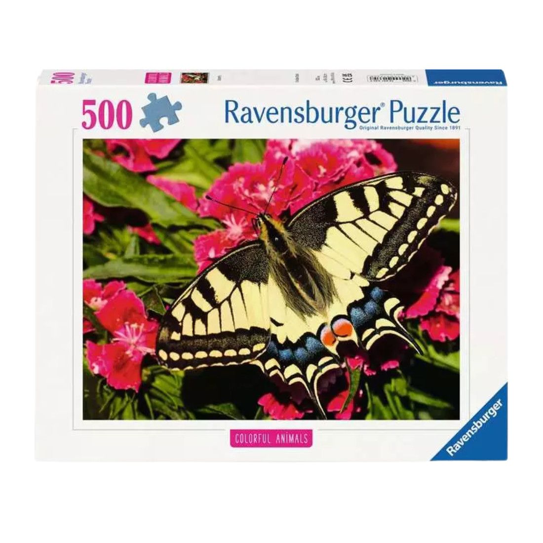 RV500 BUTTERFLY