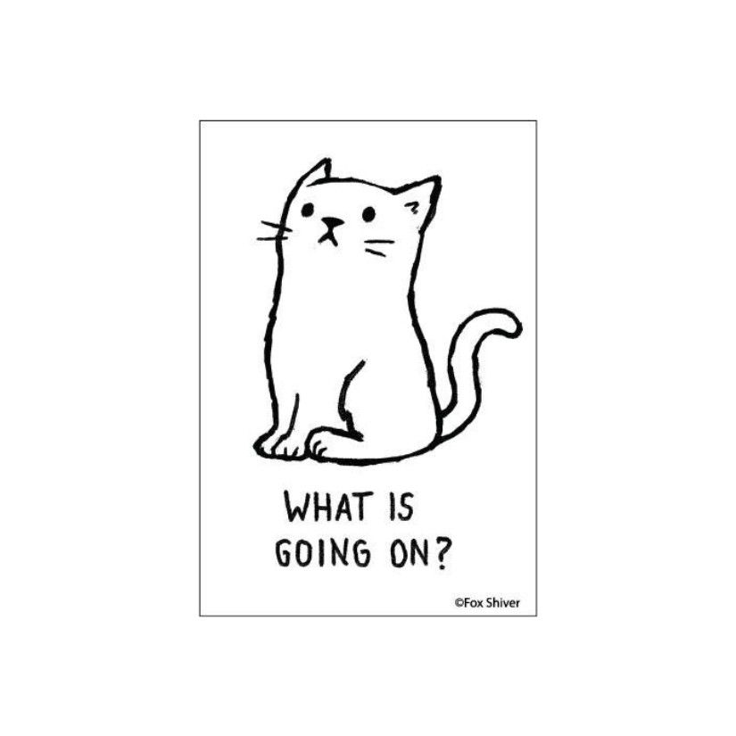 MAGNET: WHAT IS GOING ON?