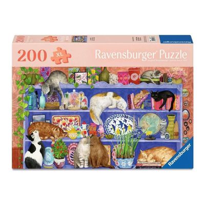 RV200 FEEL WELL - CATS ON SHELF