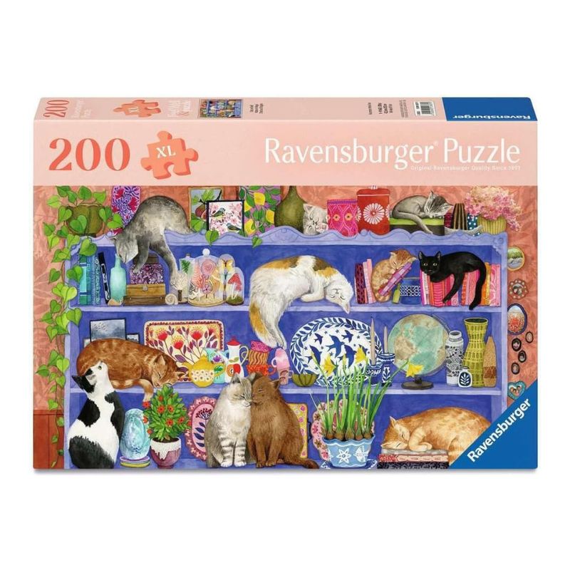 RV200 FEEL WELL - CATS ON SHELF