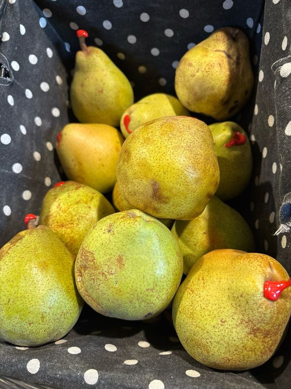 Poire Comice