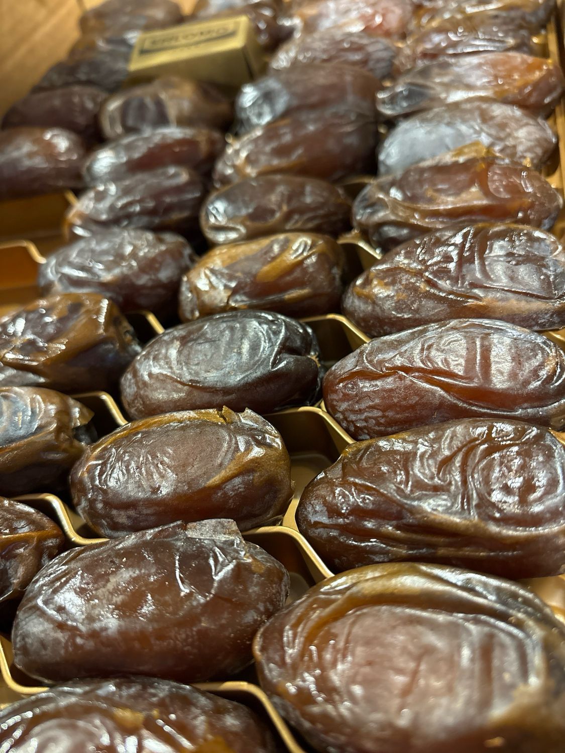 Datte de Medjoul Jumbo