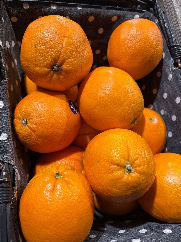 Orange Gamin