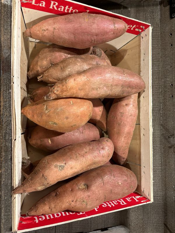 Patate douce