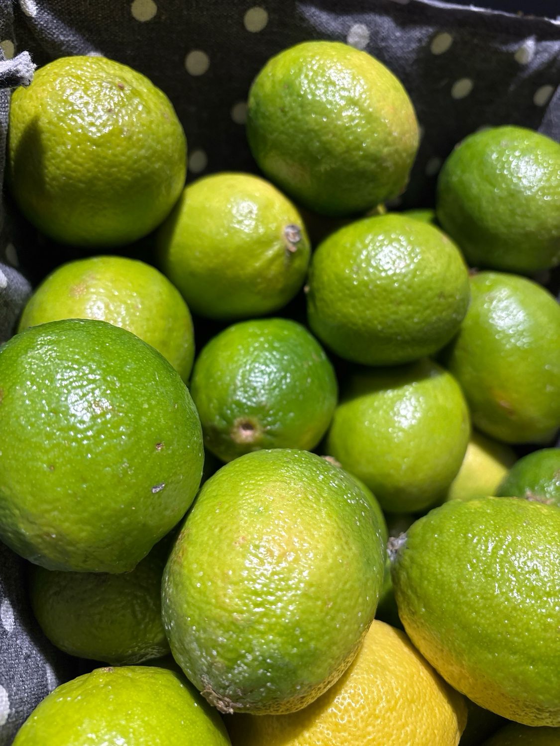 Citron vert