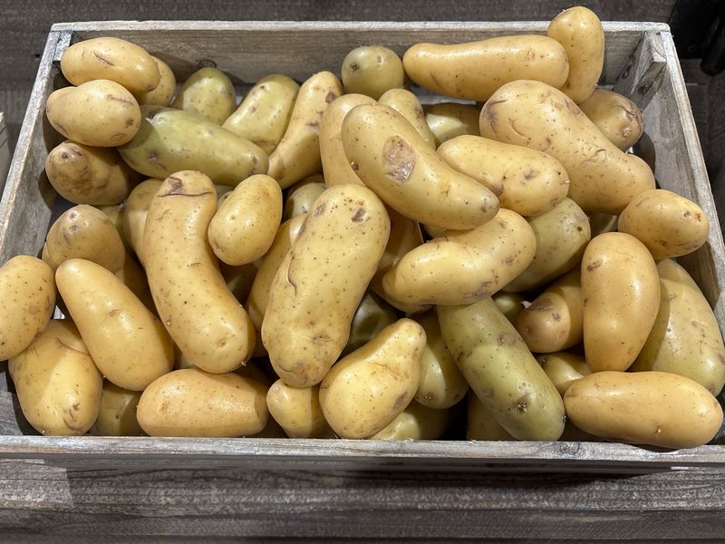 Pomme de terre JAZZ