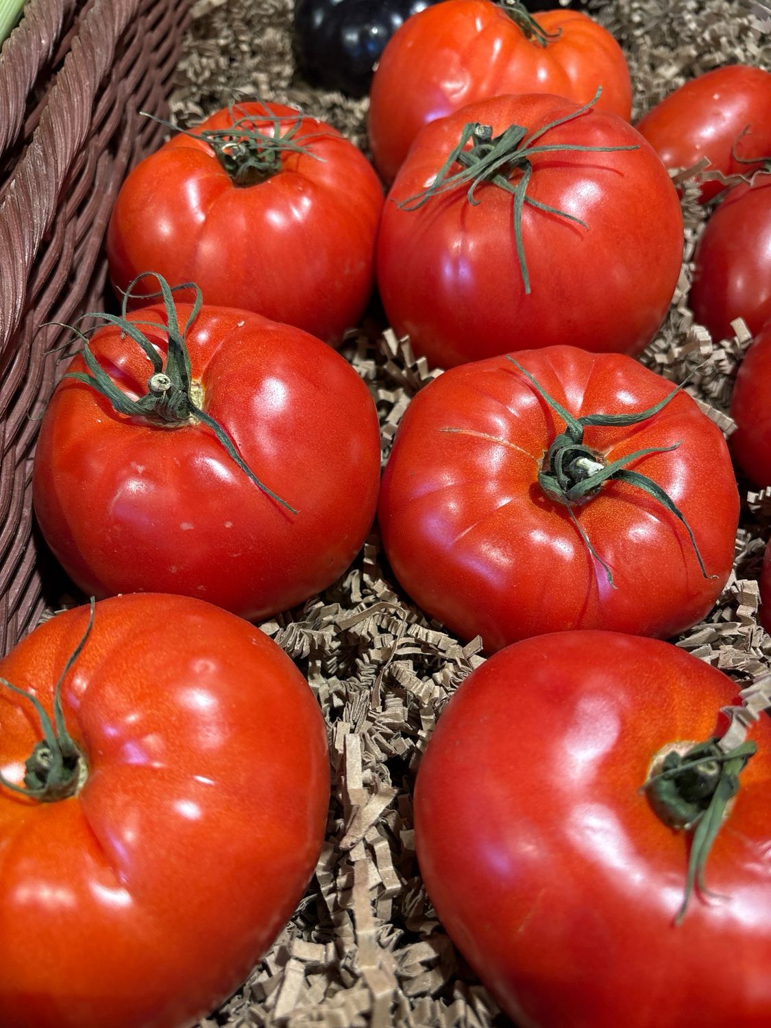 Tomates cœur anciennes France