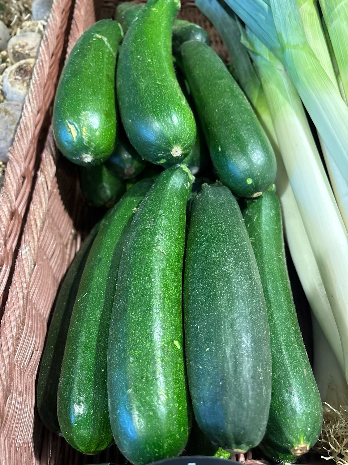 Courgettes longues vertes France