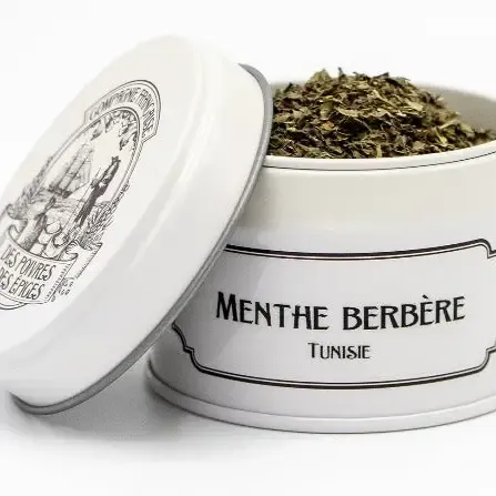 Menthe Berbère
