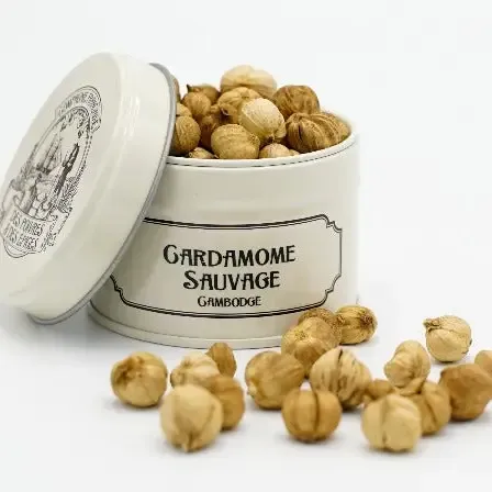 Cardamome sauvage