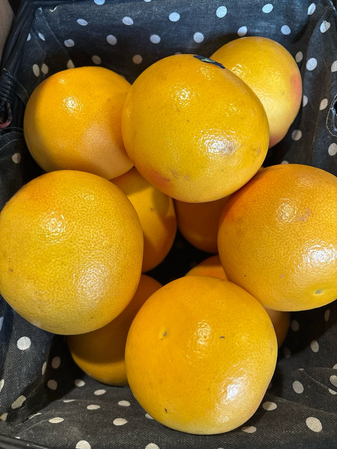 Pomelos TAS