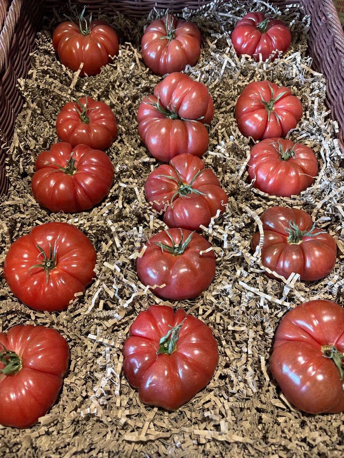 Tomates Noires de Crimée