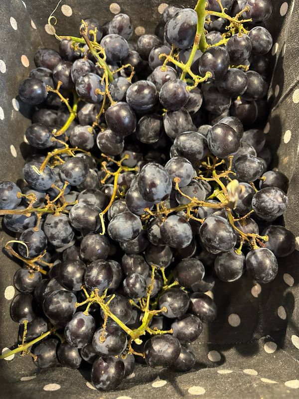 Raisin noir