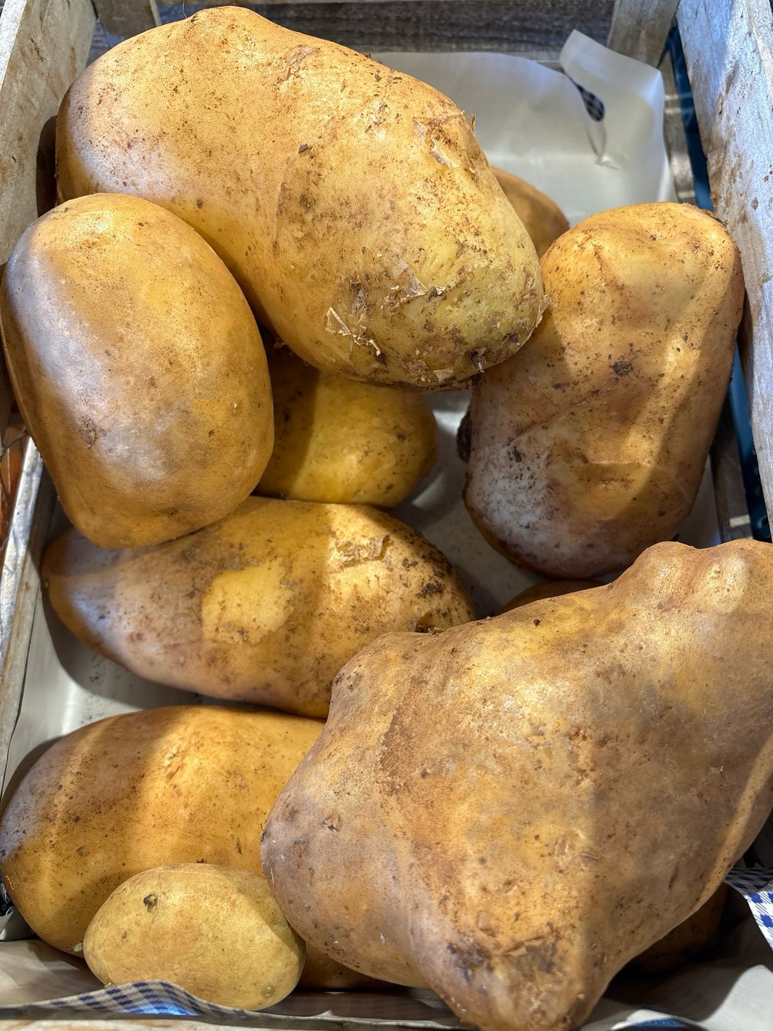 Pomme de terre Spunta Italie