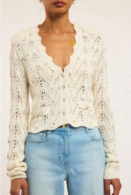BLAKE CRYSTAL POINTELLE CARDIGAN
