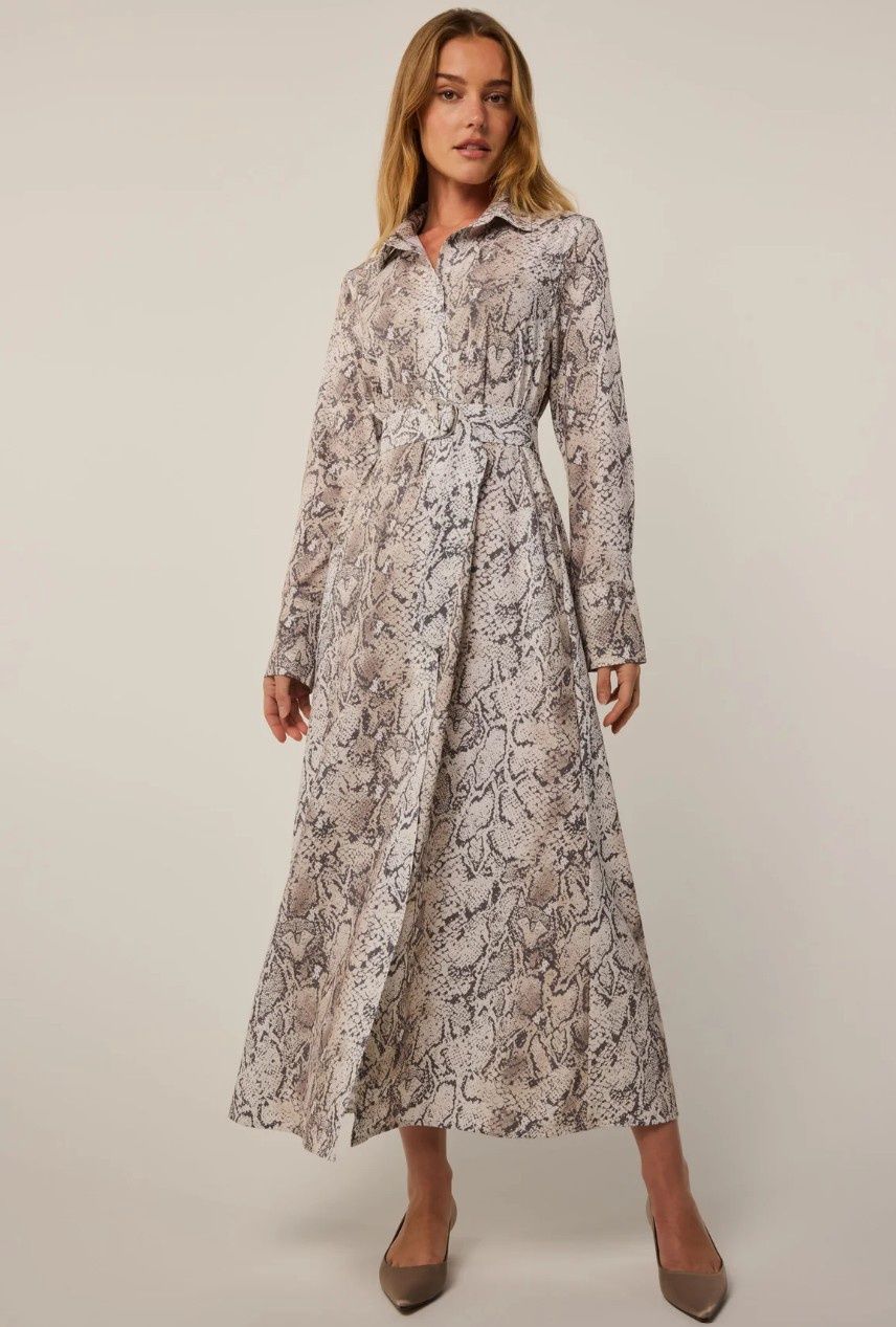 Ashe Shirt Dress Serpentine