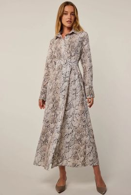 Ashe Shirt Dress Serpentine