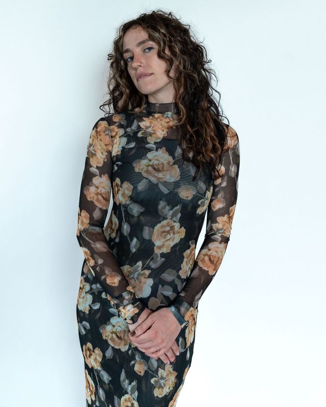 The Sheer Fantasy Dress