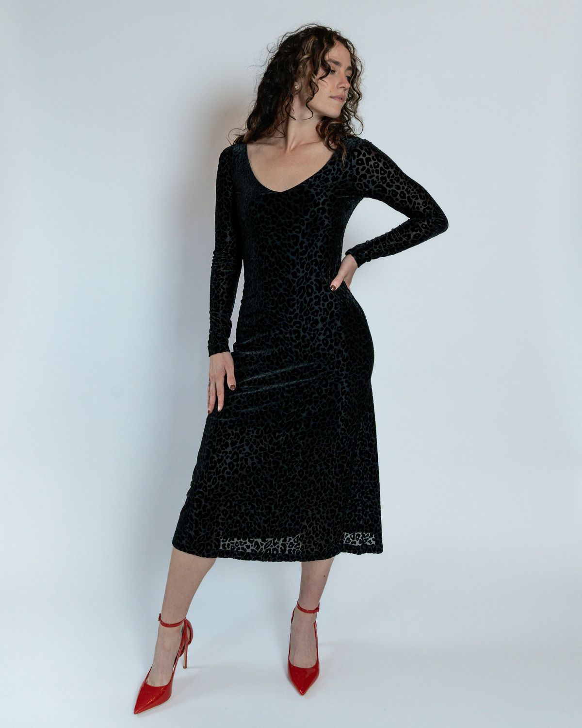 Julia Velvet Burnout Dress