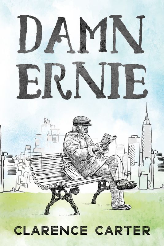 Damn Ernie - Book Box