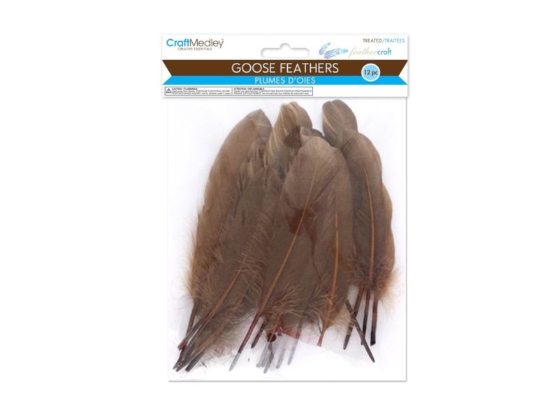 Goose feathers (12) 7 1/2"