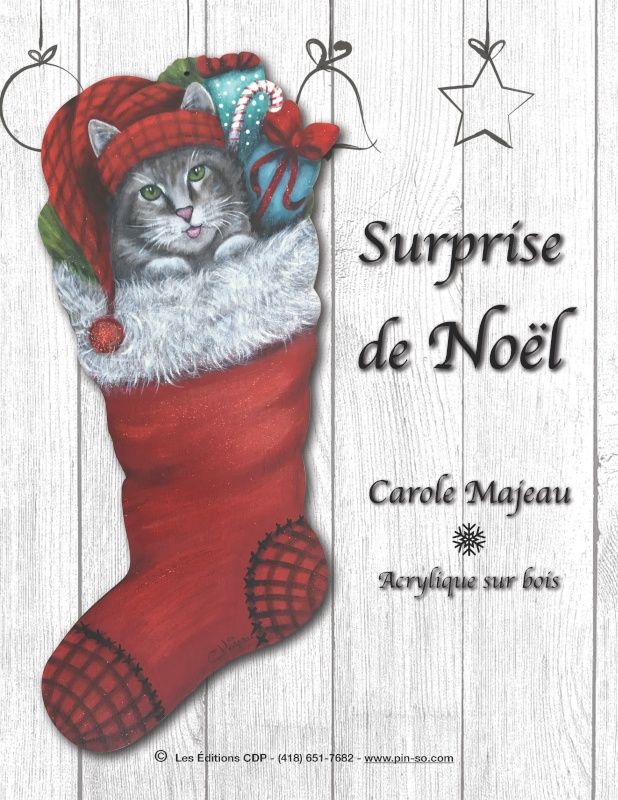 Surprise de Noël-CM (Fichier PDF Français)