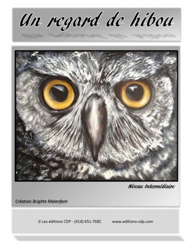 Un regard de hibou-BM (French)