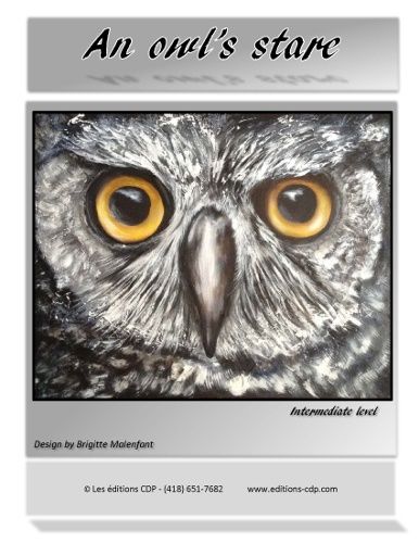 An owl's stare-BM (Anglais)