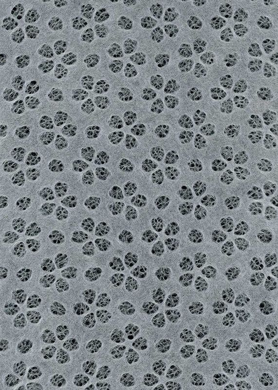 Fleurs de Sakura blanc (Sakura flower) 21"x31"