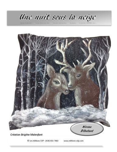 Une nuit sous la neige-BM (French)