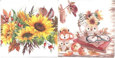 Serviettes de table - Tournesols et Tasses animaux (total de 10)