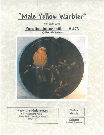 Paruline jaune mâle-BL (Français)