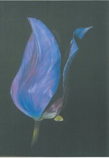 Tableau Tulipe Pourpre