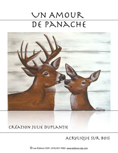 Un amour de panache-JD (Français)