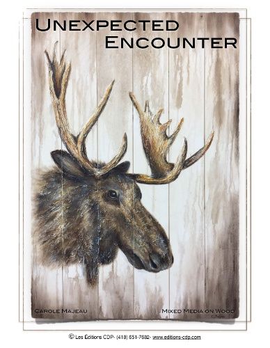 Unexpected encounter-CM (Anglais)