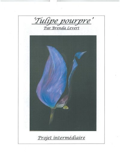 Tulipe pourpre-BL (Français)