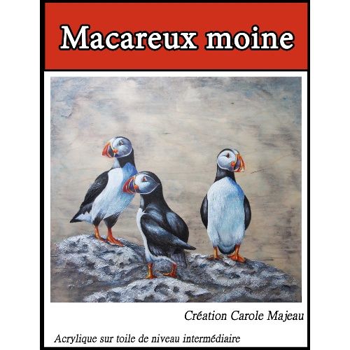 Macareux moine-CM (Français)
