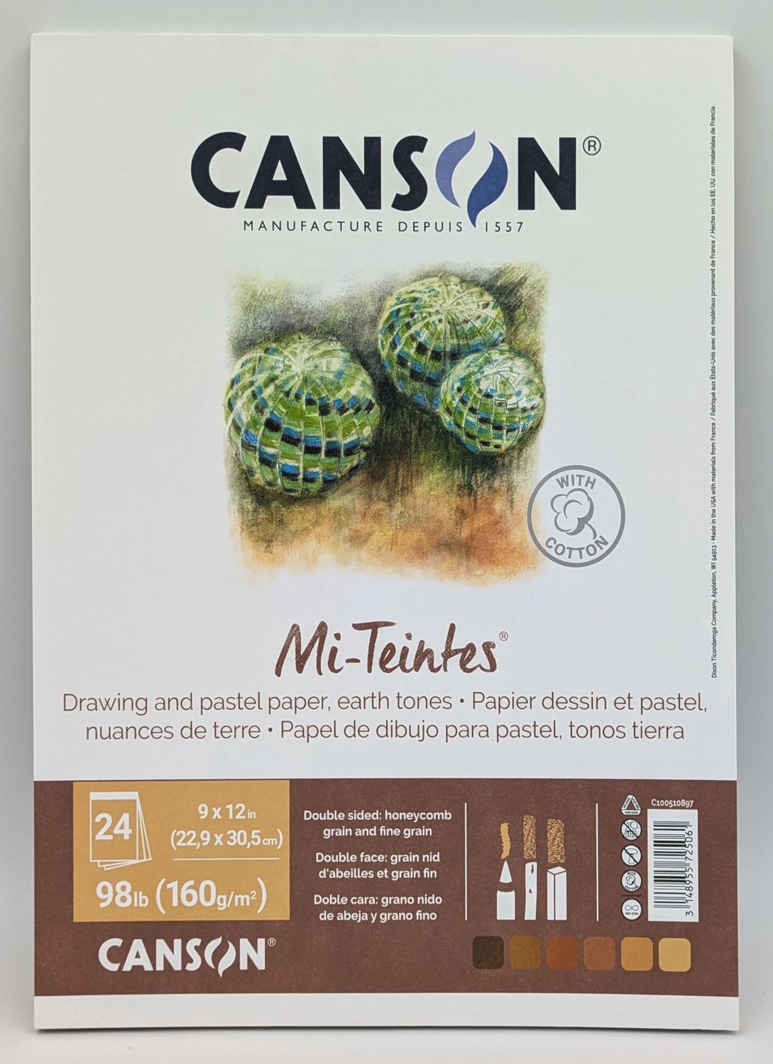 Canson Mi-Teintes Pastel Ton de Terre 9X12 (24 feuilles)