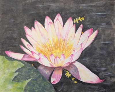 Tableau Fleur de Lotus