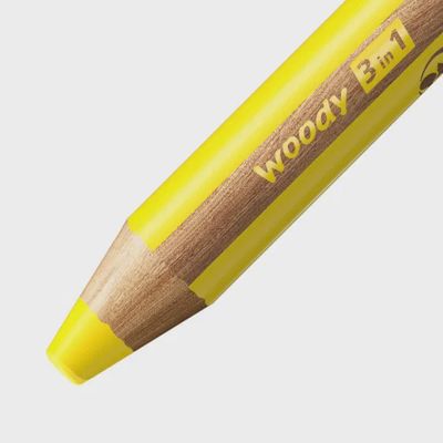Kit of 10 pencils Arty woody 3 in 1 - STABILO