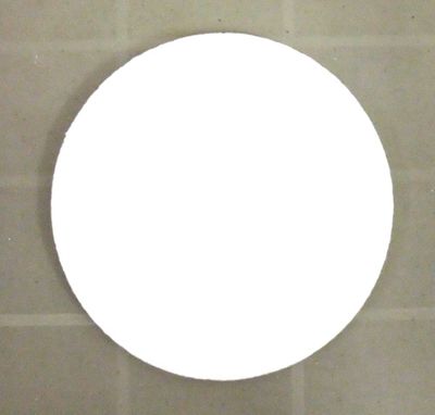 Disque en styromousse 20cmx1cm Disque en styromousse 20cmx1cm