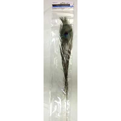 Real peacock feather (1) 31"-35"